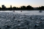 2015-0830-TRI-IM-VICHY-PICS-RC-IMG_4312
