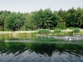 Triathlon Mitteldistanz Erlangen 2015: Operation gelungen – Athlet platt!