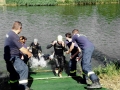 Triathlon Mitteldistanz Erlangen 2015: Operation gelungen – Athlet platt!