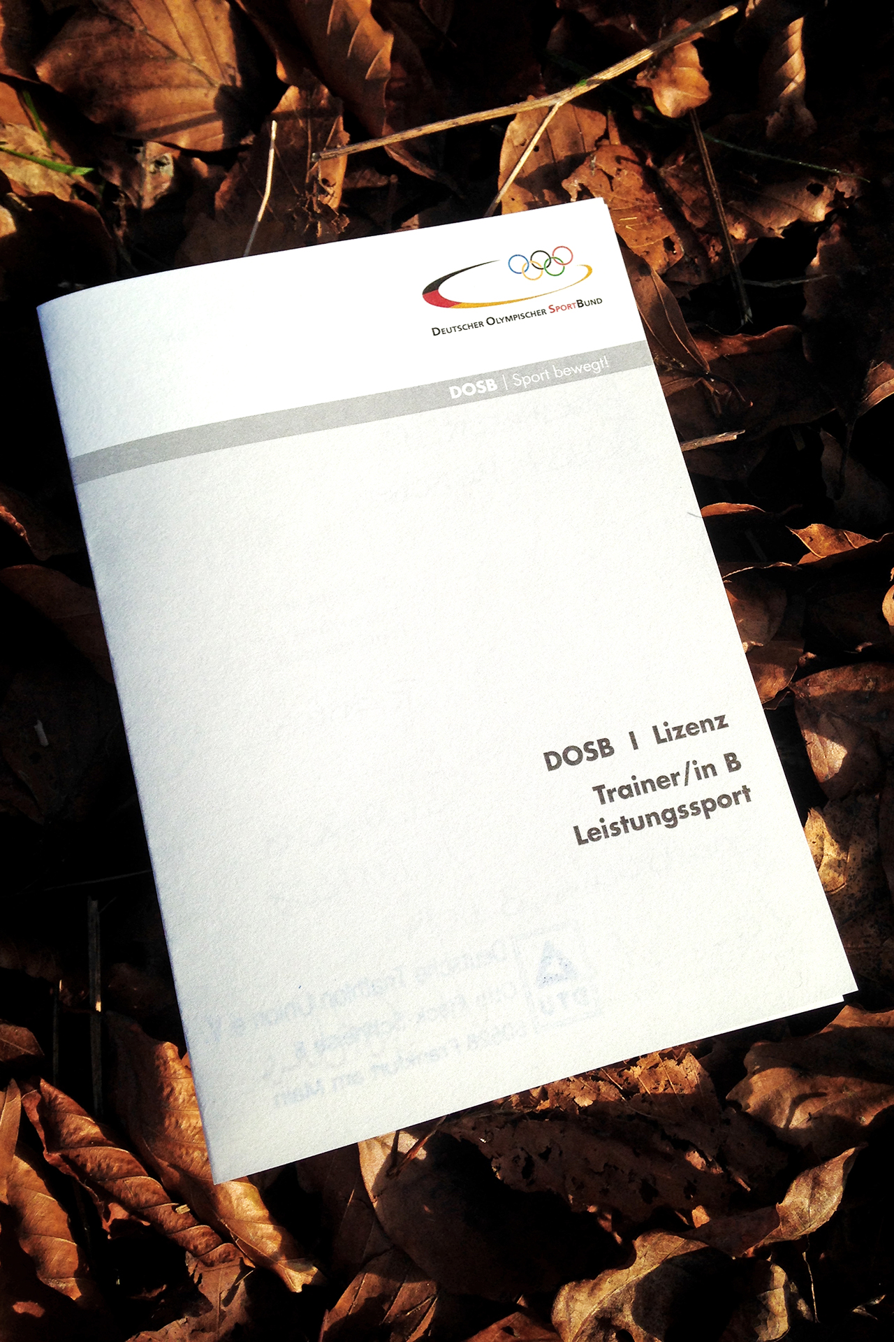 LICENSE TO ROCK - DTU Trainer-B Leistungssport erfolgreich absolviert