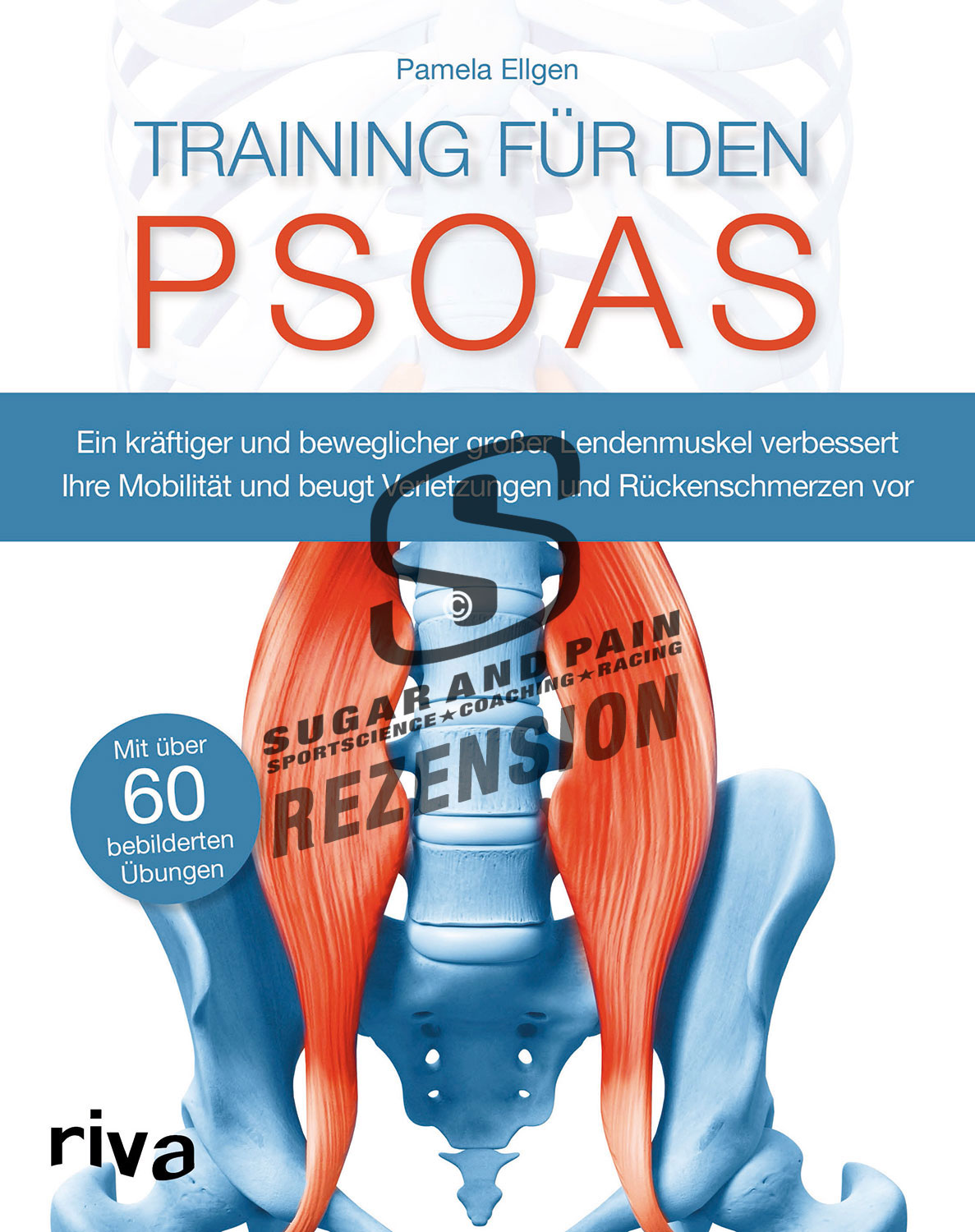 Klein aber oho – Richtiges Training für den Psoas