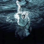 Ameo Powerbreather: Im Wasser atmen und schwimmen wie ein Fisch