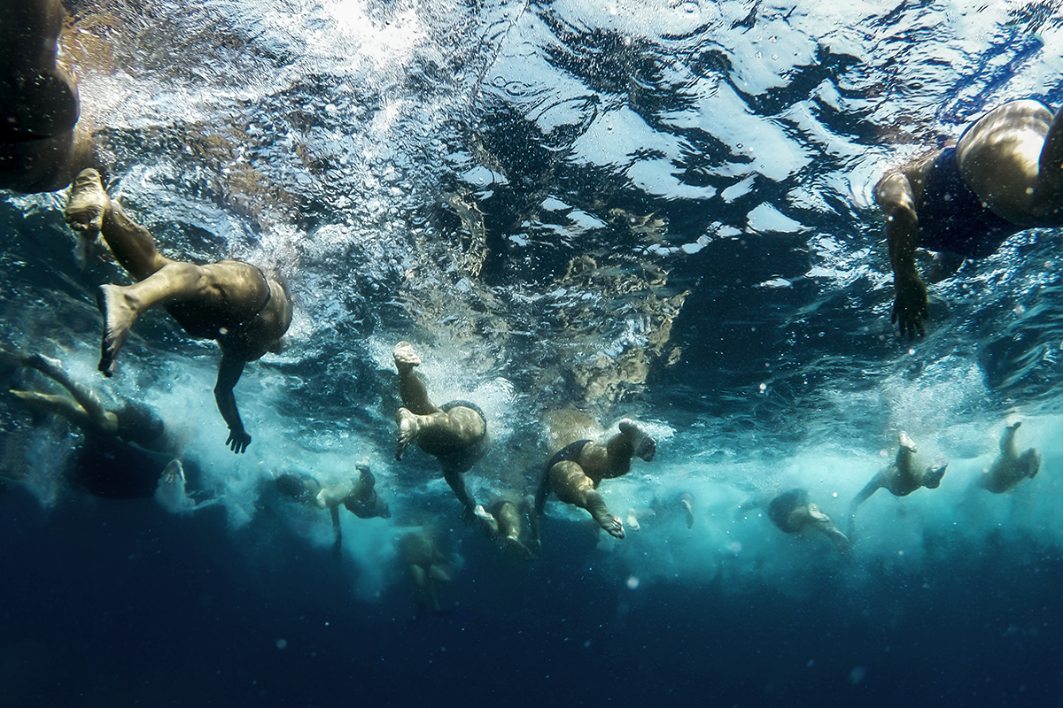 SCHWIMMEN / KRAULTECHNIK / Die Bedeutung des Kraulbeinschlag für Triathleten © AdobeStock
